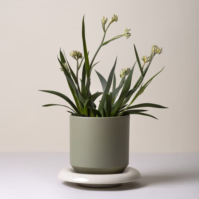 Lily GLAZED Sandstone, Ø 14 cm, Underskål - Bergs Potter