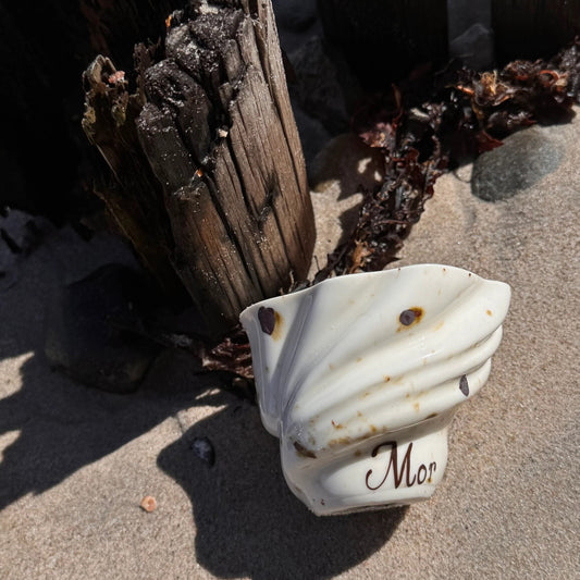 Svane kop, MOR - Studio Aarhus