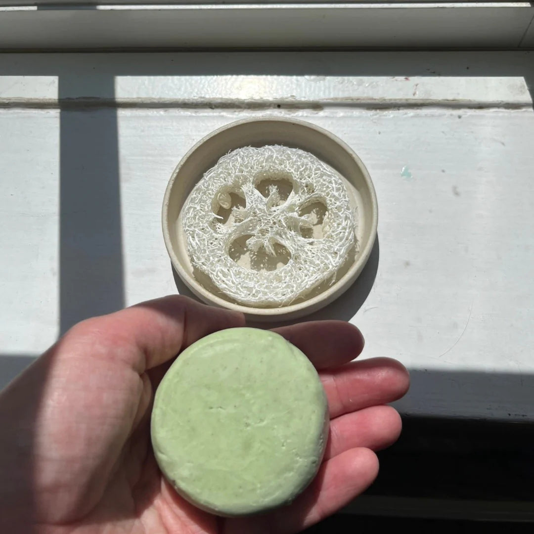Tang shampoo bar - Kystnær