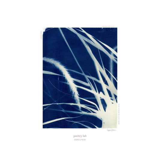 Royalblues Artprint, Edel - Poetry Lab