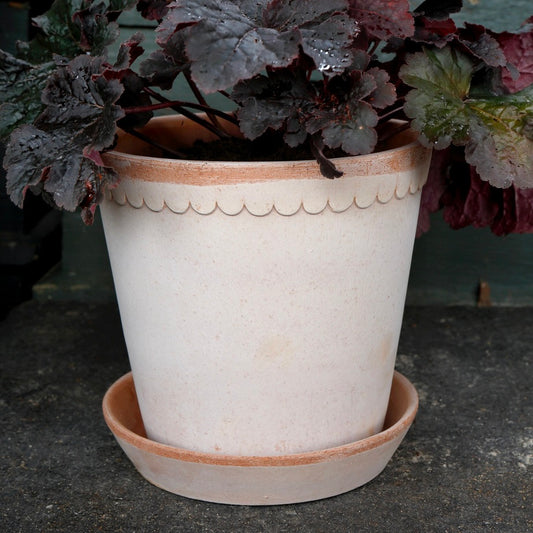 Helena Potte - Bergs Potter