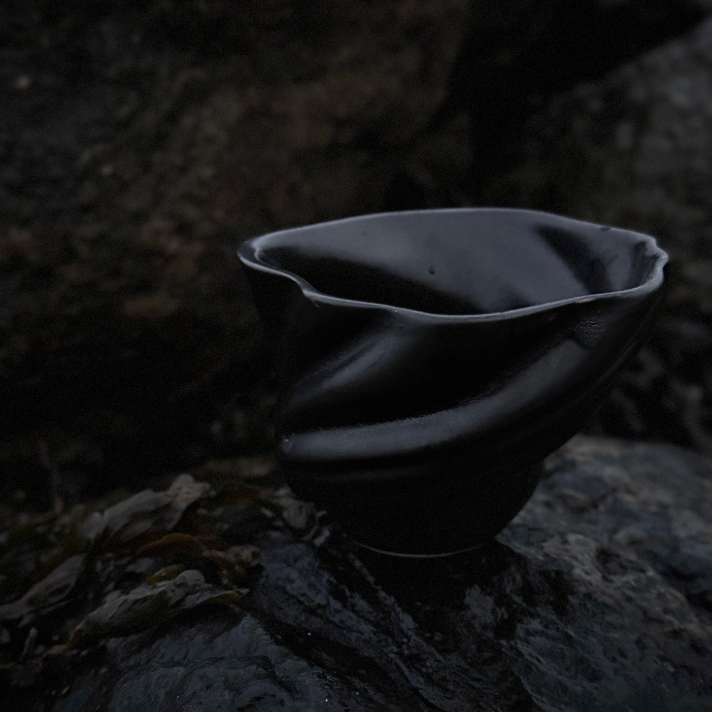 Sort svane - Studio Aarhus