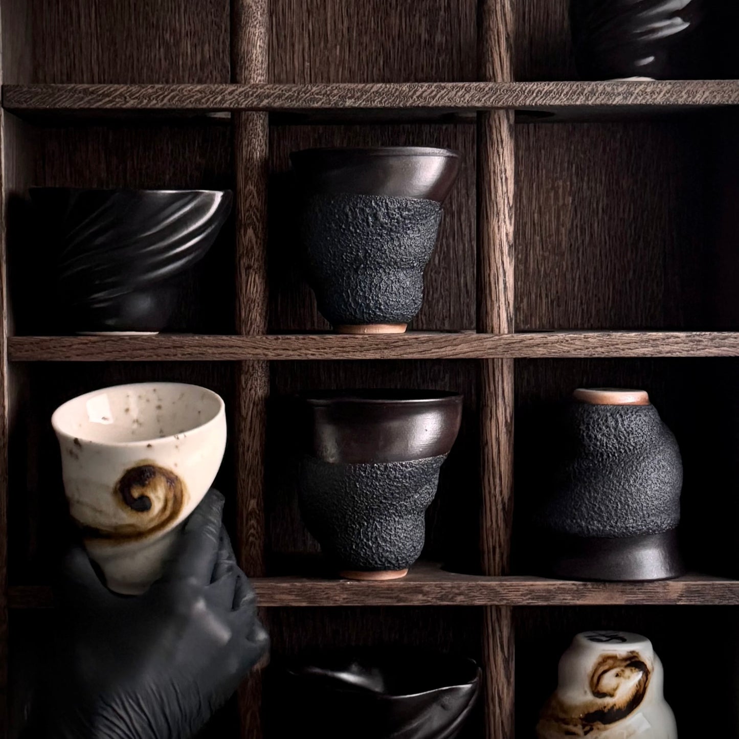 Sort svane - Studio Aarhus