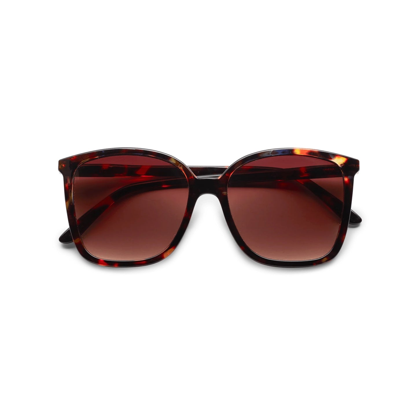 Solbriller, Nymph Tortoise - Have A Look