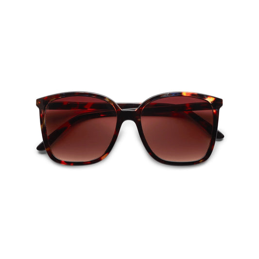 Solbriller, Nymph Tortoise - Have A Look