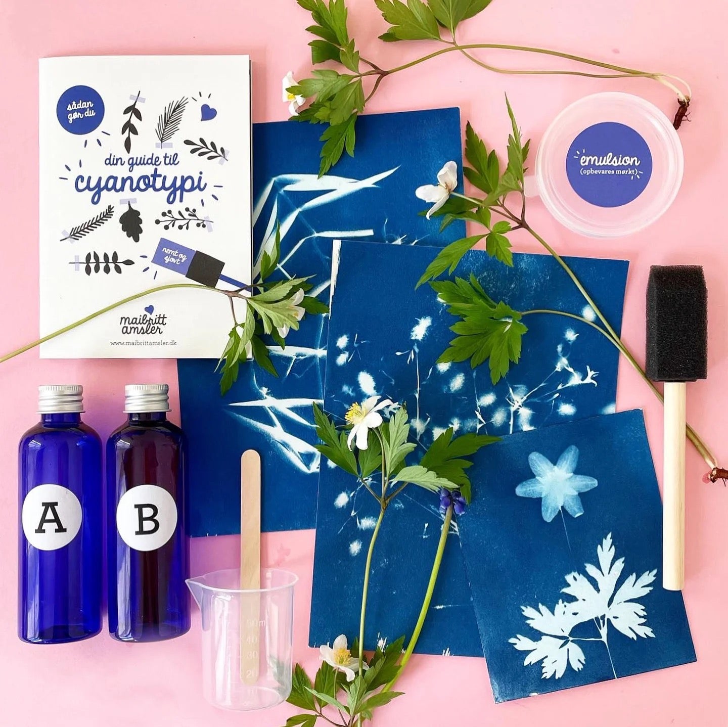 Cyanotypi Kit - Mai-Britt Amsler