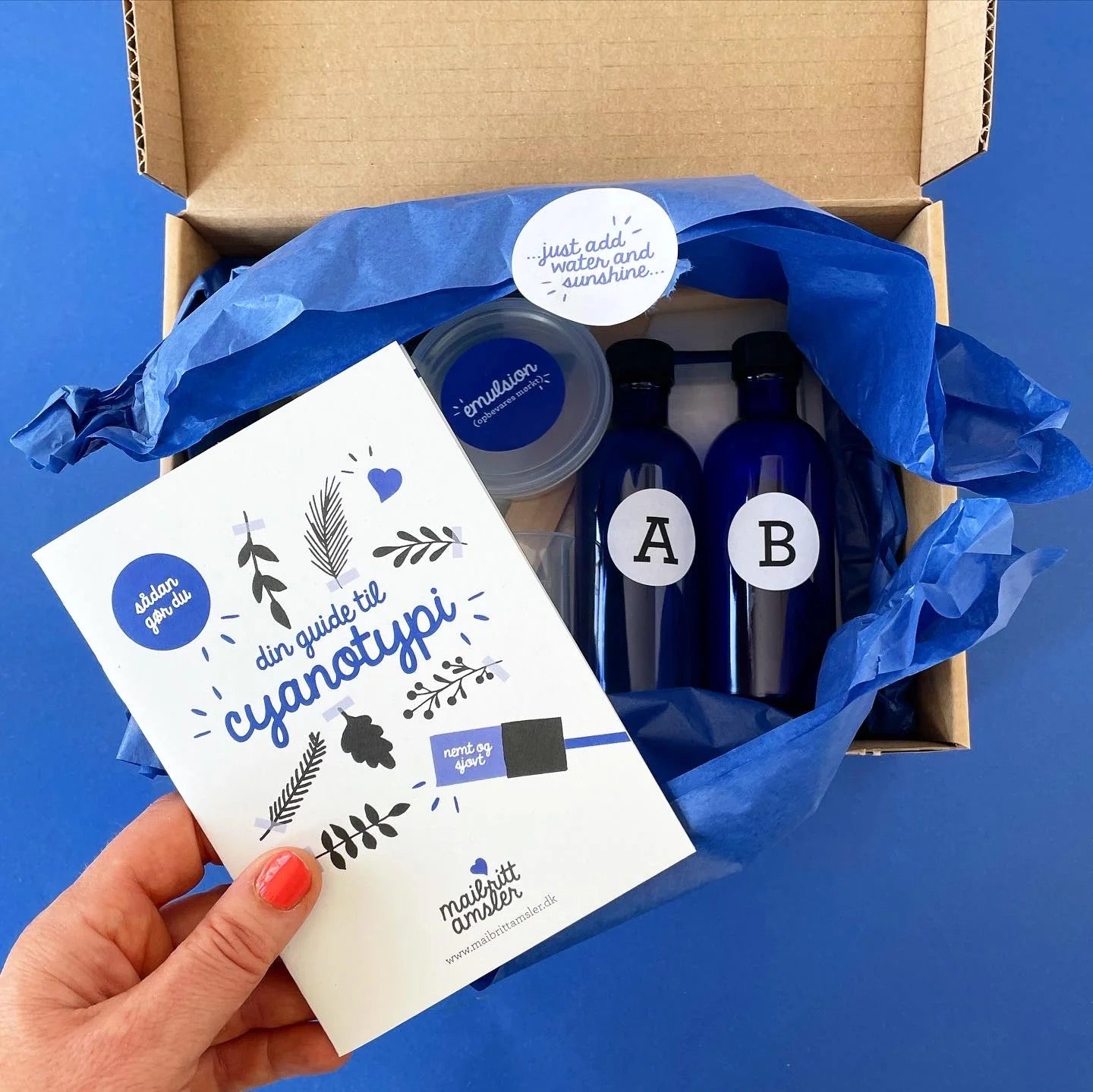 Cyanotypi Kit - Mai-Britt Amsler