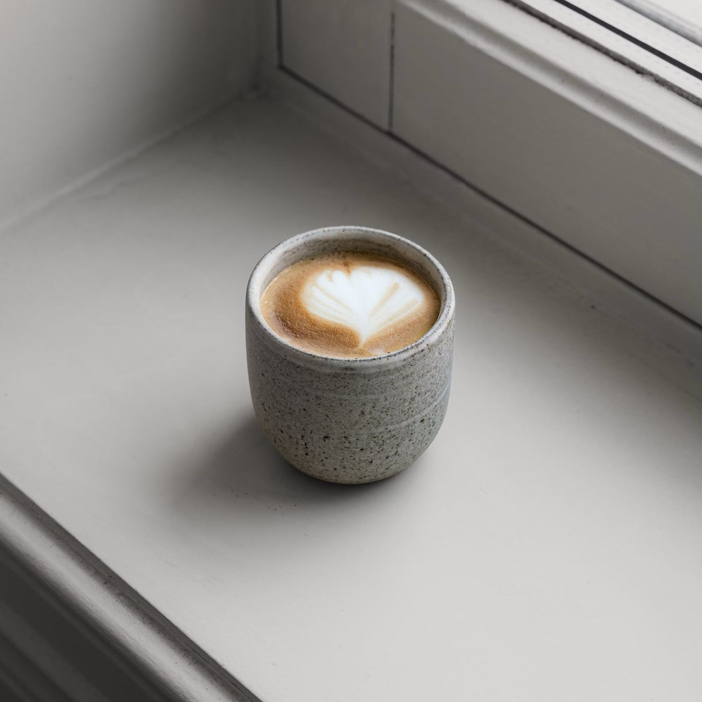 Cortado Kop - Ancher Studio