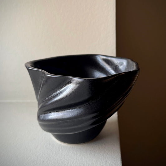 Sort svane - Studio Aarhus