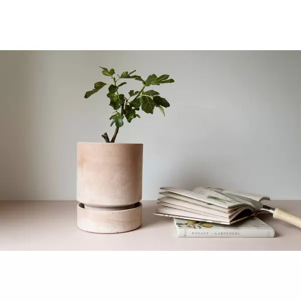 Hoff Raw Rosa Urtepotte, Ø 21 cm,  - Bergs Potter