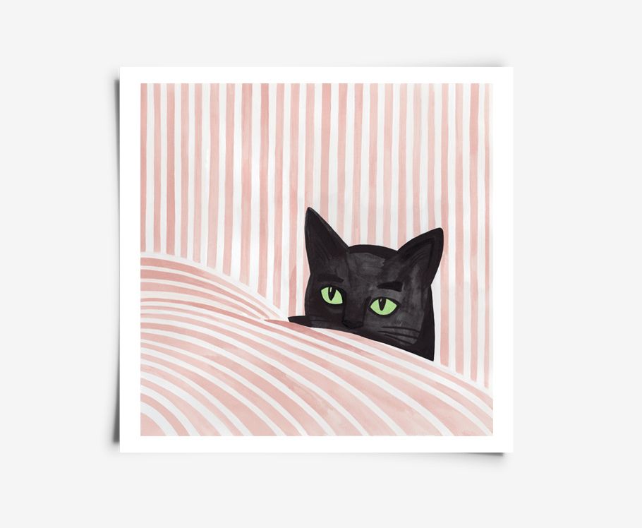 Black Cat Illustration - Iga Illustration