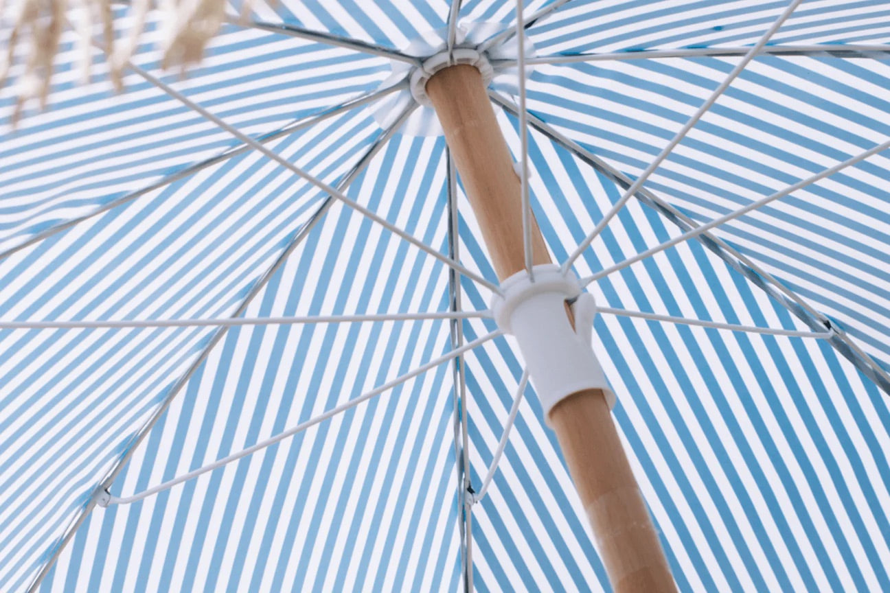 Stine stribet parasol, Blå striber
